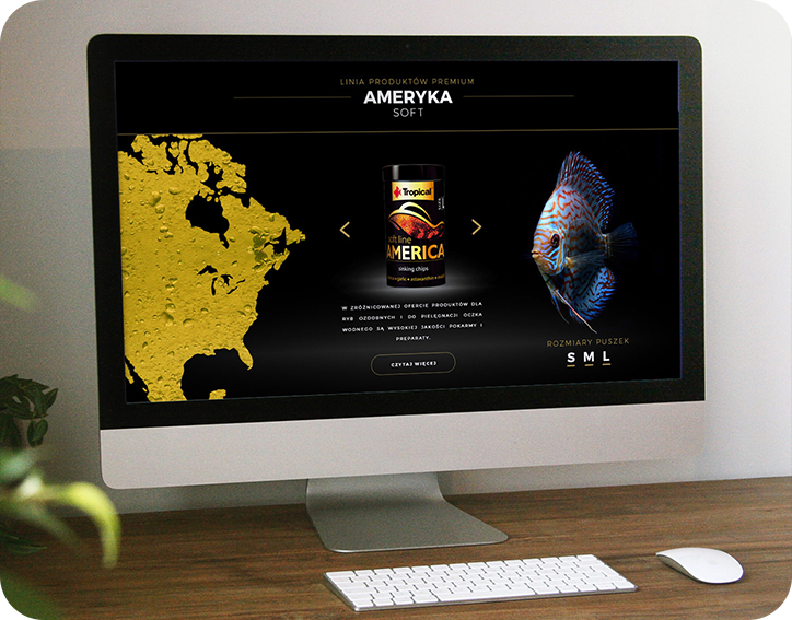 strona internetowa chorzow